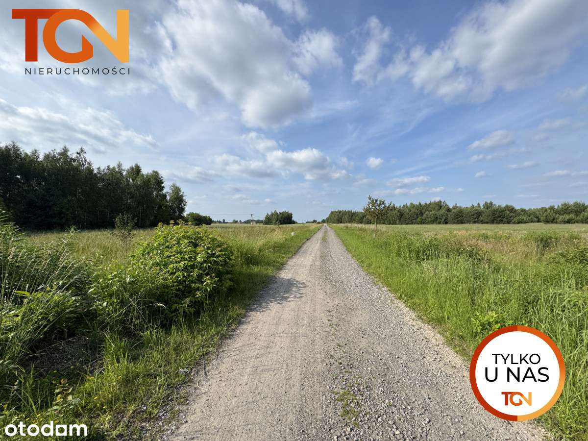 s171205 - Pełny obrazek: 4/6