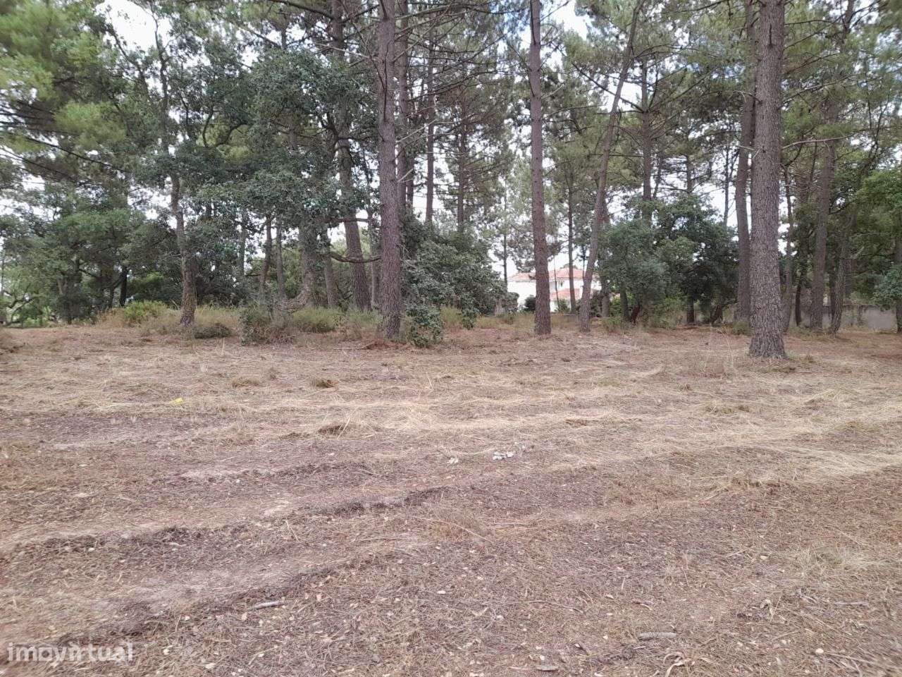 Azeitão / Brejos Azeitão Terreno 5000m2 .-9