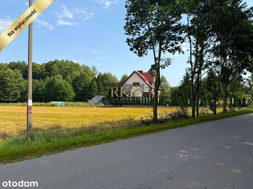 Duża działka rolna na sprzedaż z możliwością budowy domu-1