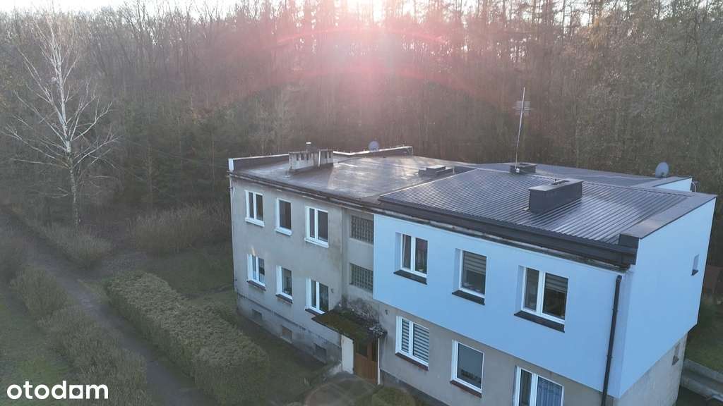 Mieszkanie w lesie - do remontu-16