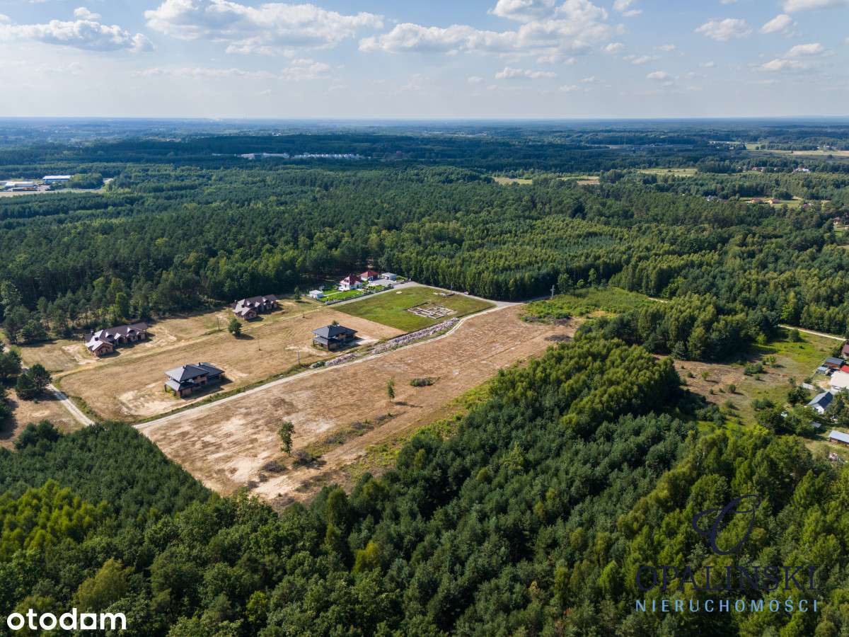 Otoczenie lasu | Cicha okolica | Mpzp | Inwestycja-12