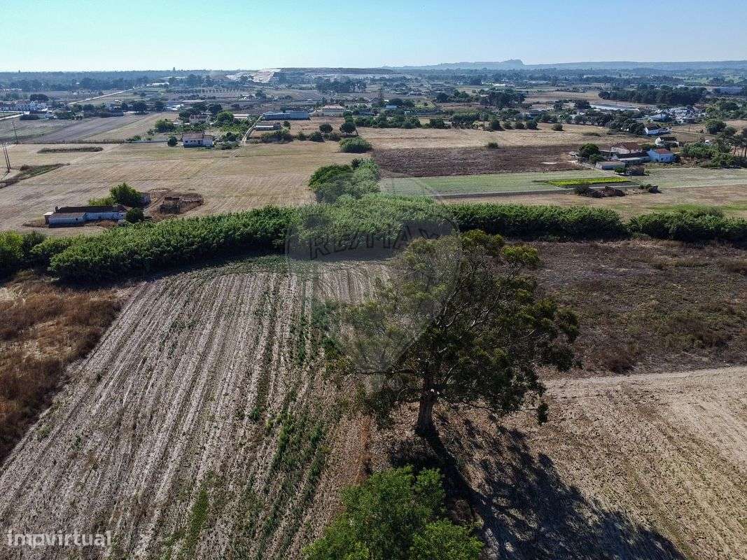 Quinta T2 para venda - Grande imagem: 5/50