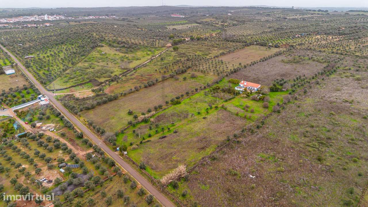 Herdade T3 em Vila Boim - Grande imagem: 5/46
