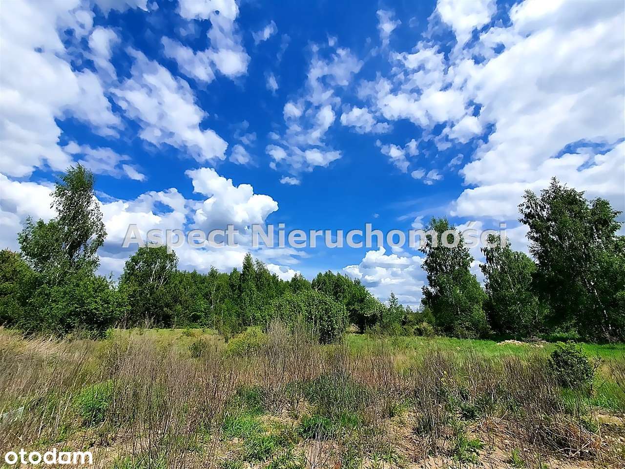 Duża działka Budowlana*mpzp*ignatki*juchnowiec K. - Pełny obrazek: 5/9