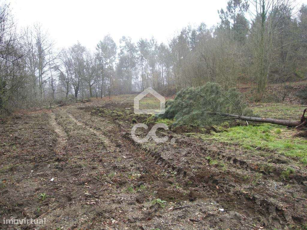 Terreno para moradia - Terreno para Construção - Grande imagem: 5/23