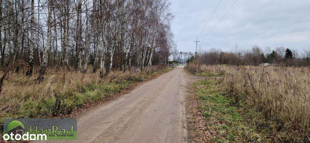 budownictwo mieszkaniowe - Sady - Mn1 - Pełny obrazek: 2/9