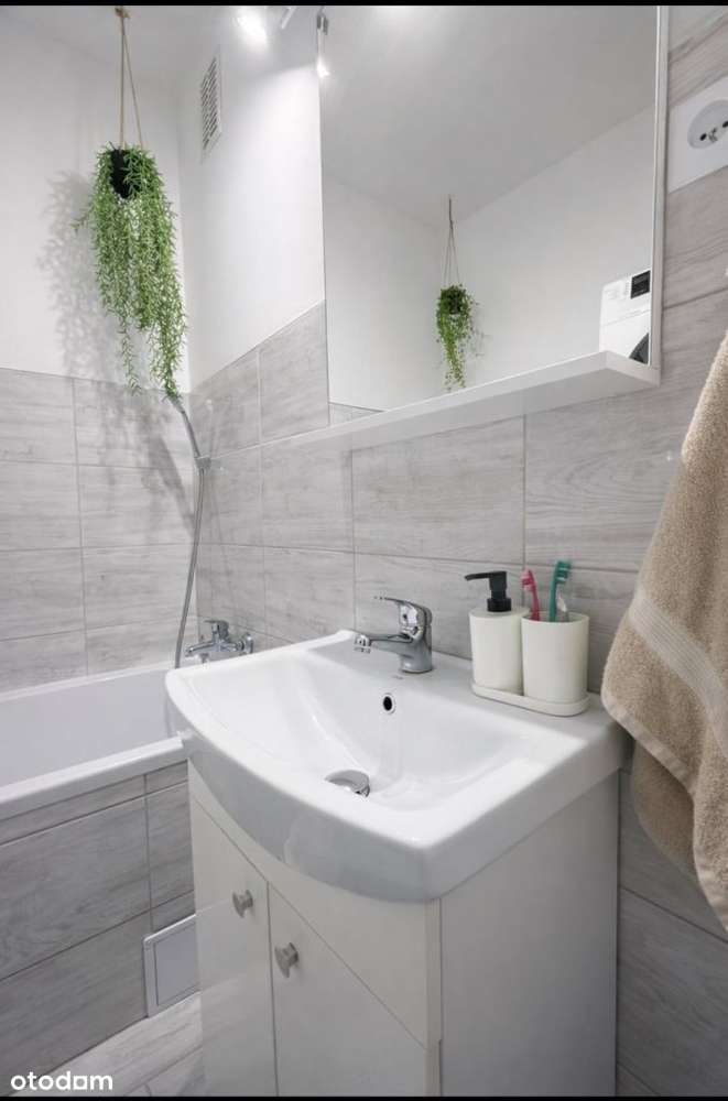 Wschowa | 3 pokoje | do wprowadzenia-4