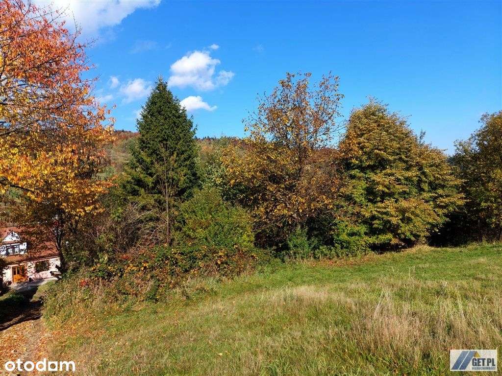 9 arów w przepięknej okolicy, powiat myślenicki - Pełny obrazek: 4/4