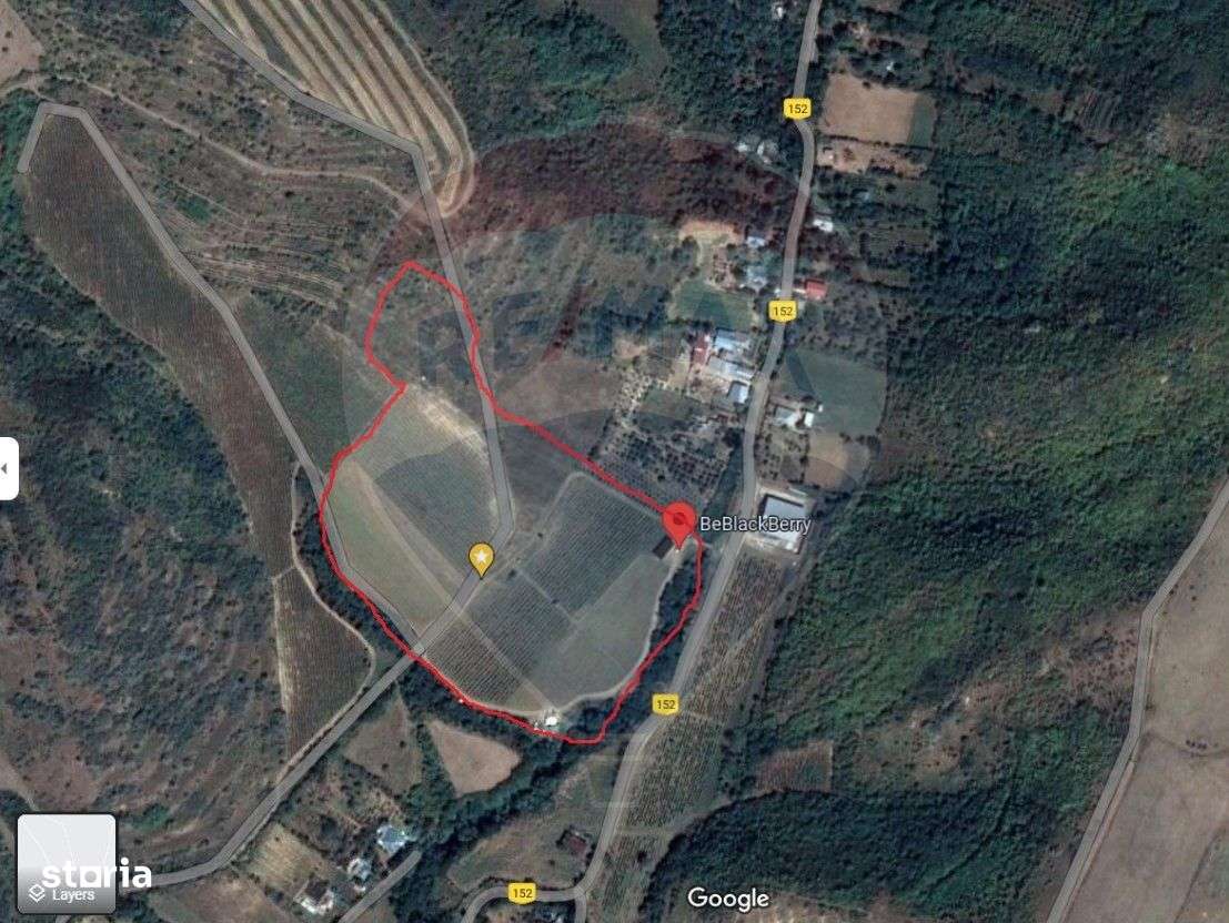 Oportunitate de investitie - Teren de vanzare I 4 ha I certificat ECO - Imagine principală: 2/7