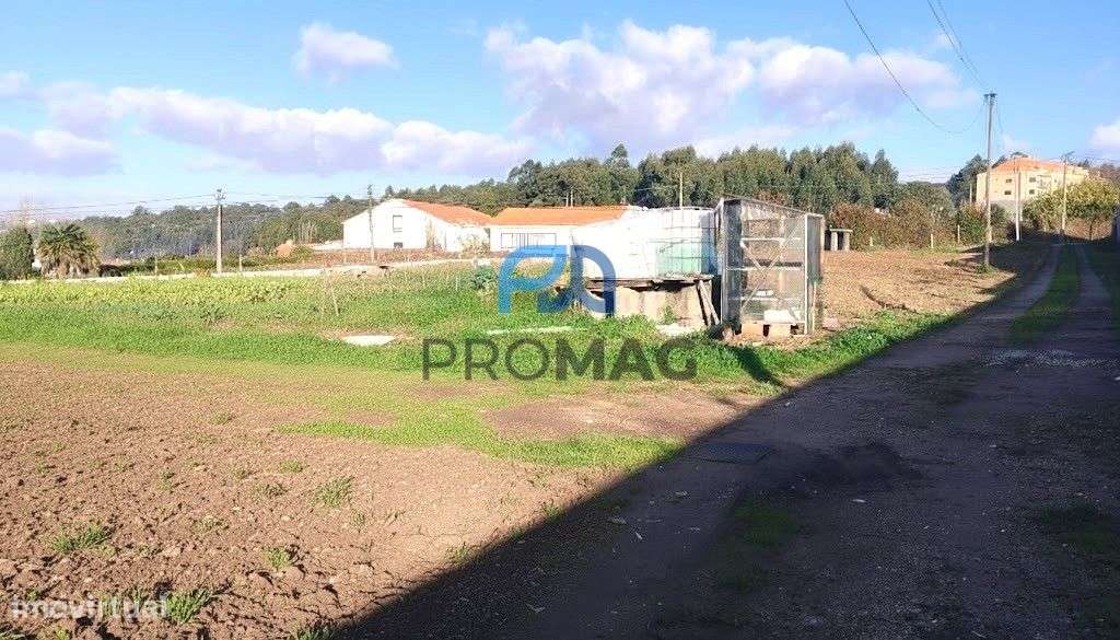 Terreno de 3850 m2 + Armazém | Potencial para Moradias-6