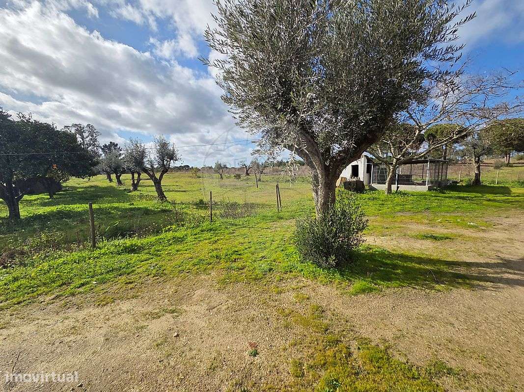 Moradia T1 para venda - Grande imagem: 4/29