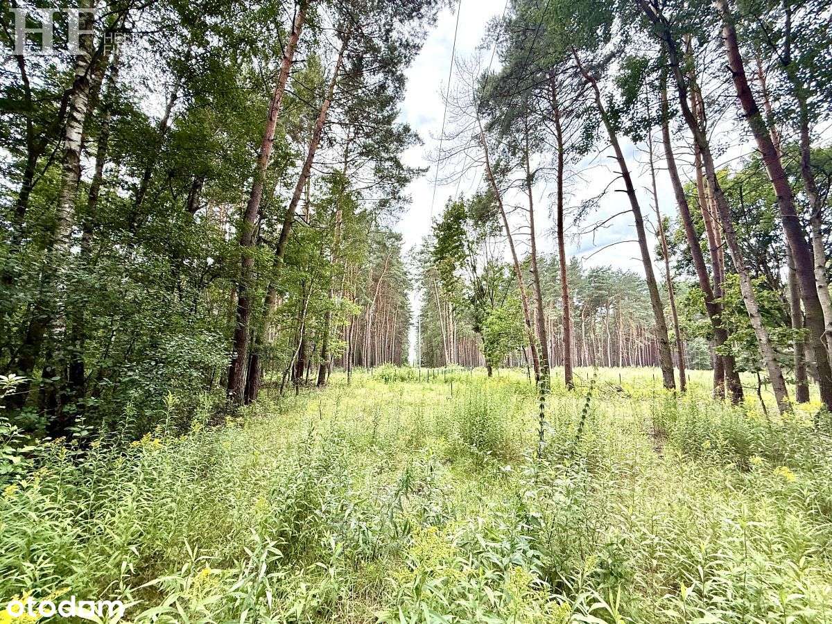 3 działki budowlane-  Warszawska,  las-7