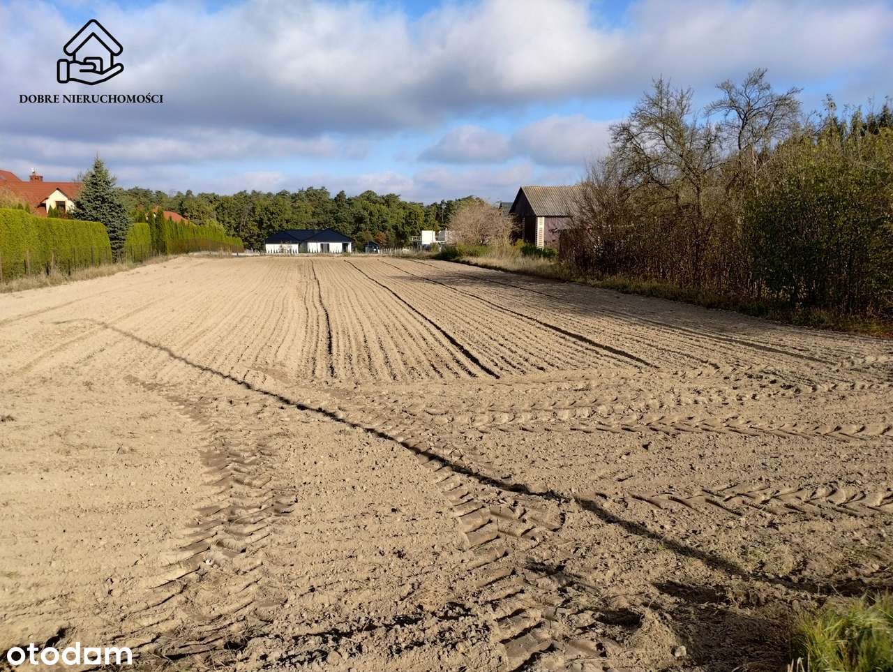 19a działka budowlana blisko lasu - Prawiedniki - Pełny obrazek: 2/4