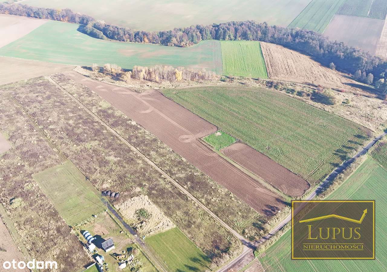 Działki budowlane w Lubowie - Pełny obrazek: 4/15