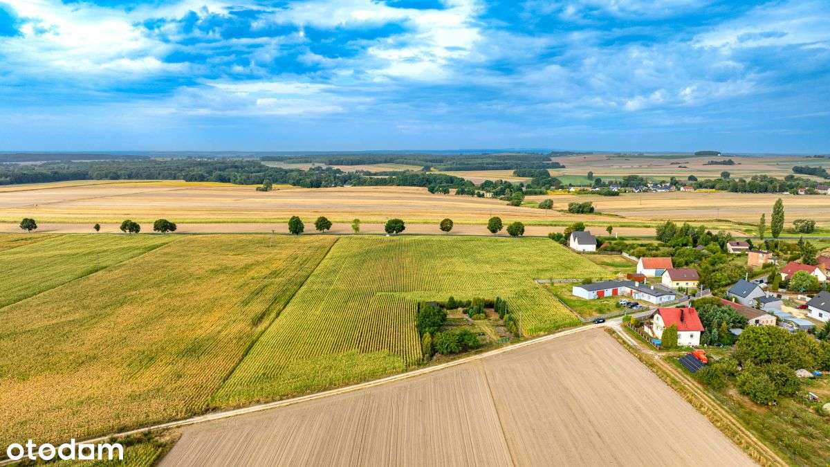 Bezpośrednio przy Dw901 Pod Usługi i Zabudowę - Pełny obrazek: 4/8