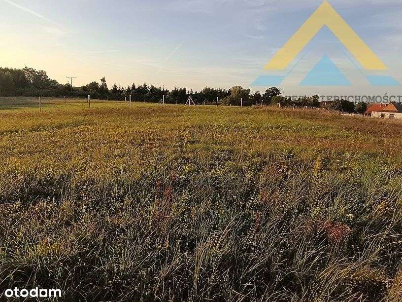 Działka rolna z potencjałem 2986 m2 , 79 tys.!-10