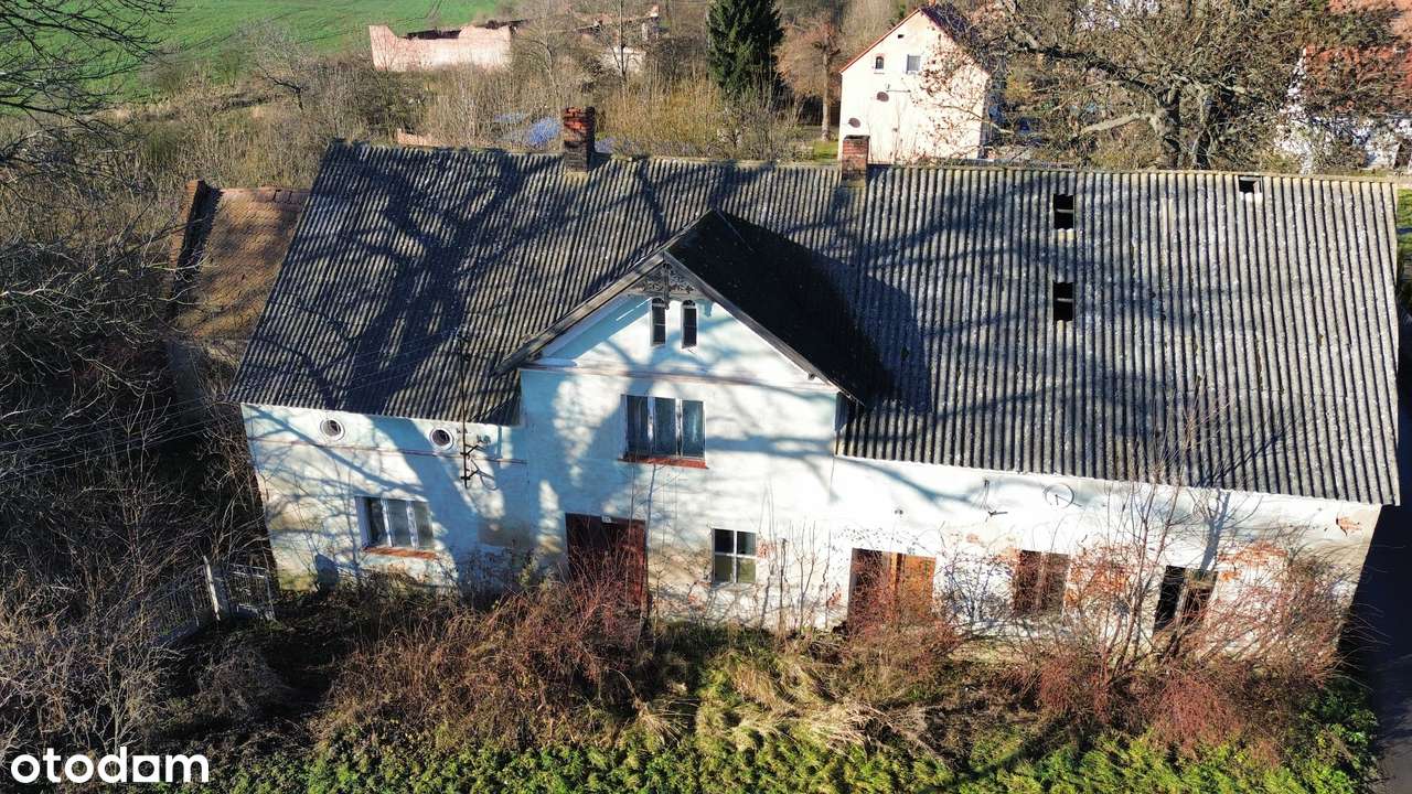 Budynek mieszkalny , budynki gospodarcze | Działka 3514 m2 | Piersno-4