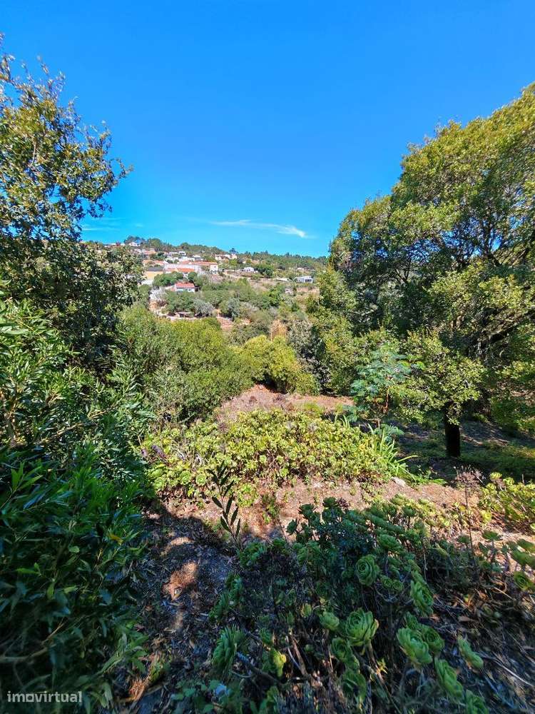 Quinta com muita privacidade, a 11 minutos do centro da Ericeira-40