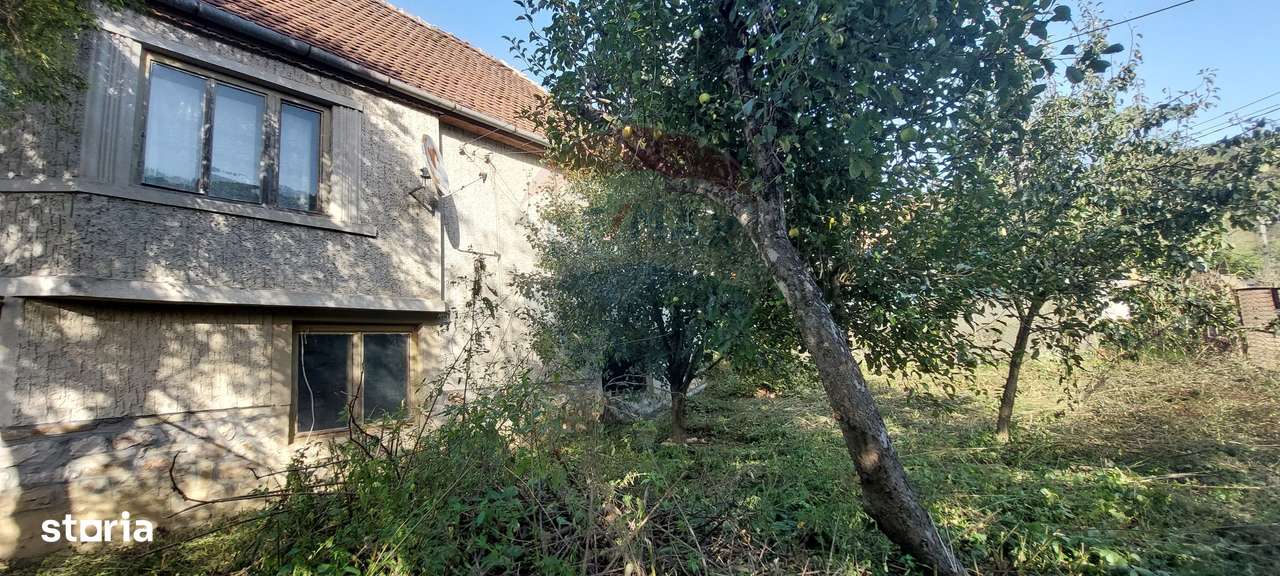 Casă  individuala cu teren generos-0