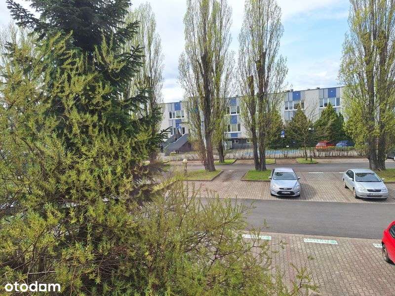 Biuro, Strzegomska - Pełny obrazek: 4/5