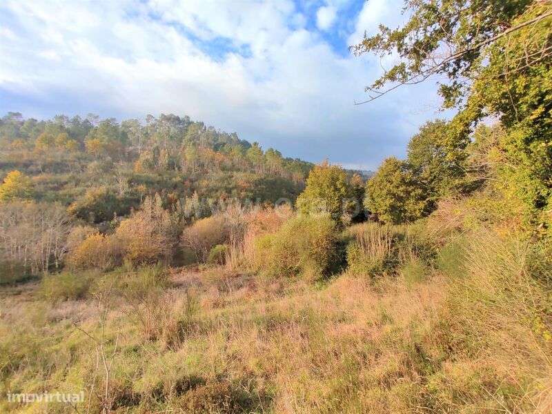 Terreno / Baião, Gove - Grande imagem: 5/9