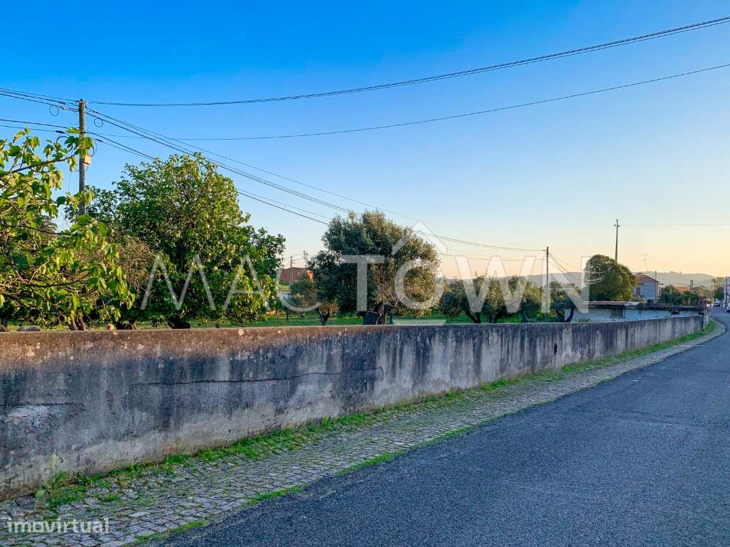 Imóvel Estratégico em Alcanena para Projeto Empresarial ou Residencial-16