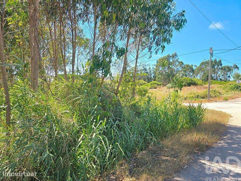 Terreno em Lourinhã e Atalaia de 2120,00 m2 - Grande imagem: 2/30