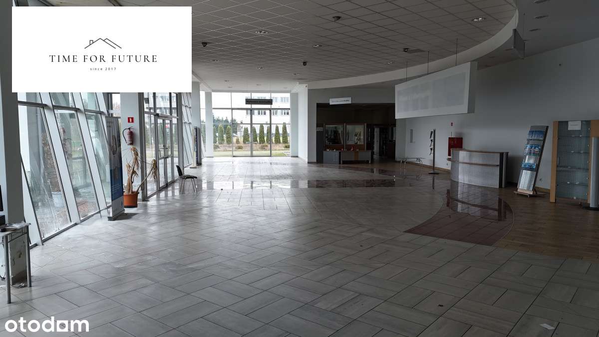 Salon samochodowy na dużej działce. 5589m2 - Pełny obrazek: 5/17