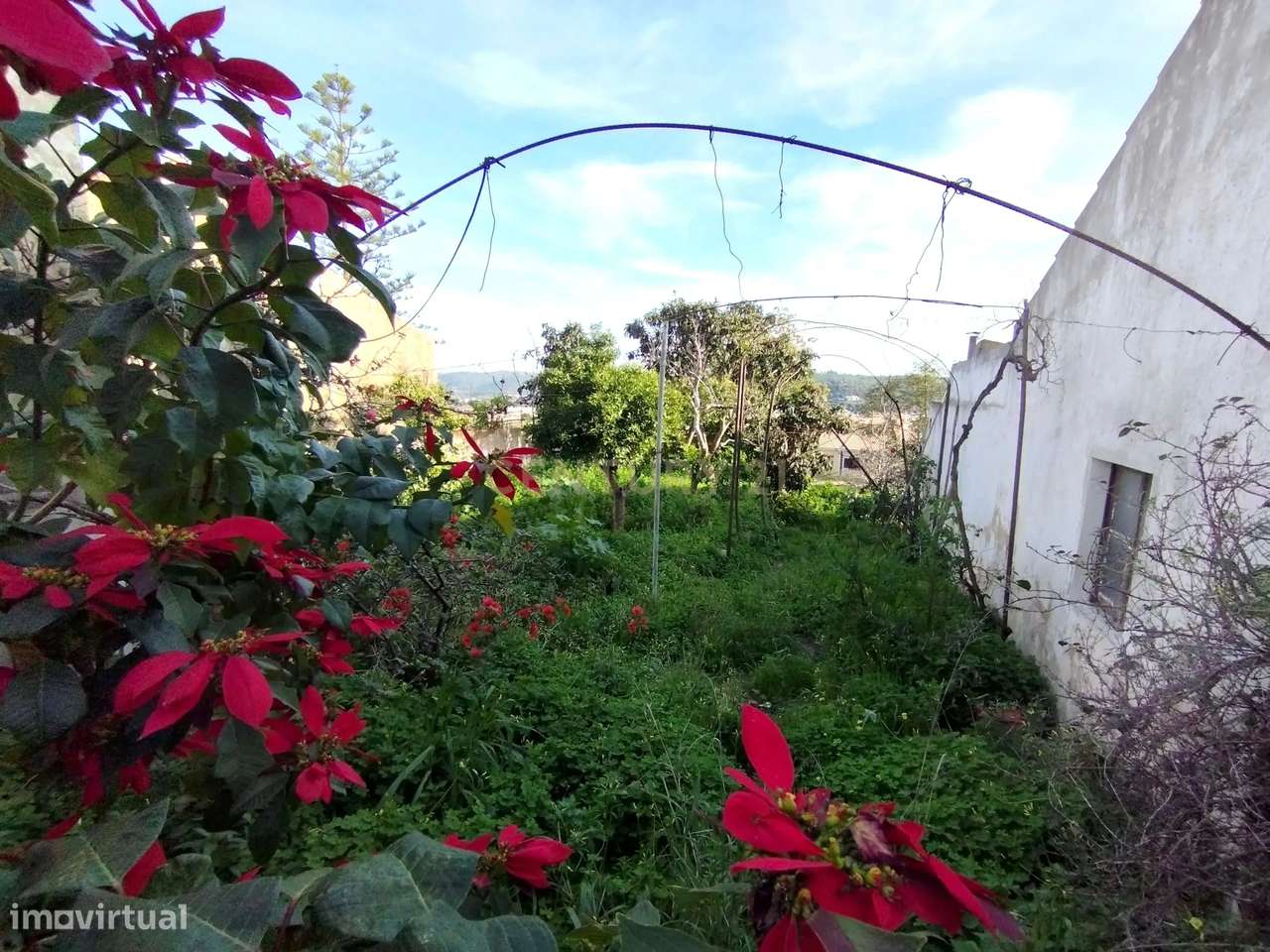 Dois Terrenos com Vista Panorâmica para o Castelo de Silves e Potencia - Grande imagem: 2/18