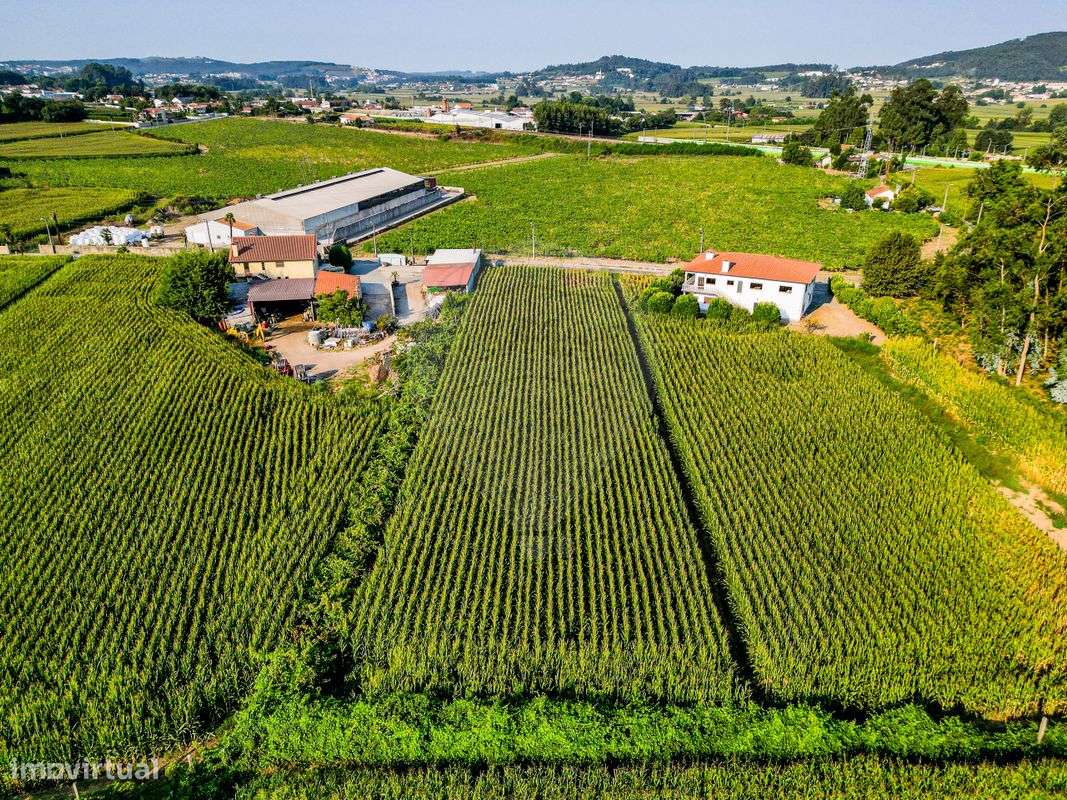 Terreno  para venda - Grande imagem: 2/5