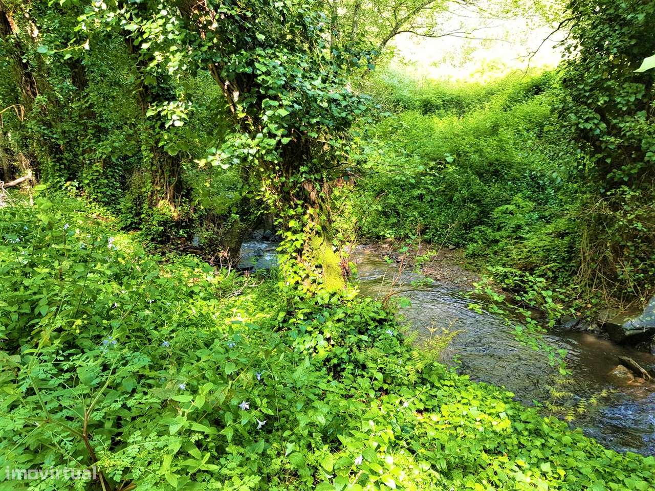 Terreno com ruinas em Marmelete-10