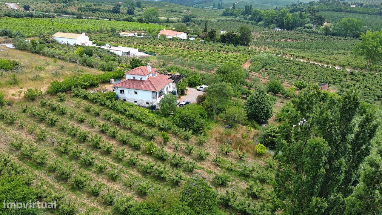 Herdade com 13.360m2 no Bombarral-6