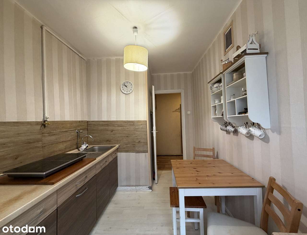 Przestronne mieszkanie I 3 pokoje I Parter - Pełny obrazek: 3/17