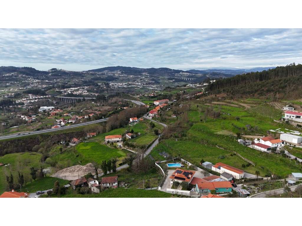 Quinta com 20.000 m² para Venda - Penacova - Grande imagem: 5/24