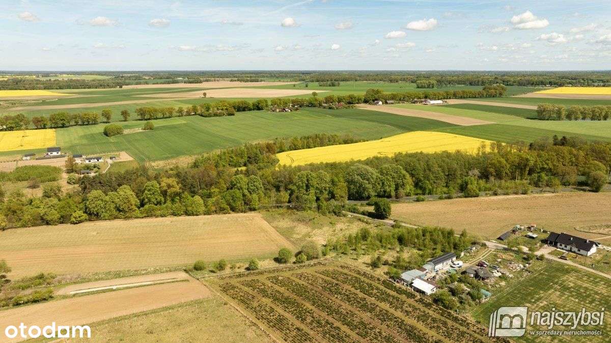 Tarnowiec - duża działka 4225m2 z warunkami - Pełny obrazek: 3/12