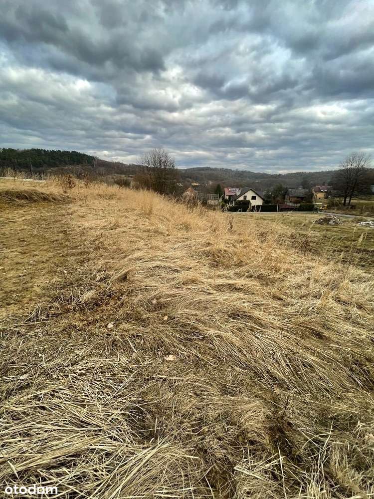 Działka budowlana Regulice 31ar FV 23% OKAZJA!-2