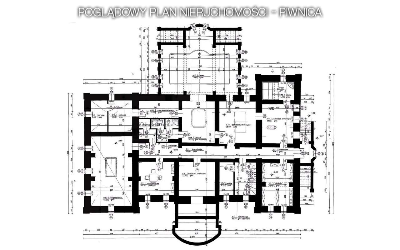 Prestiżowa rezydencja z basenem i zabytkowym parkiem | Cieszanowice.-16