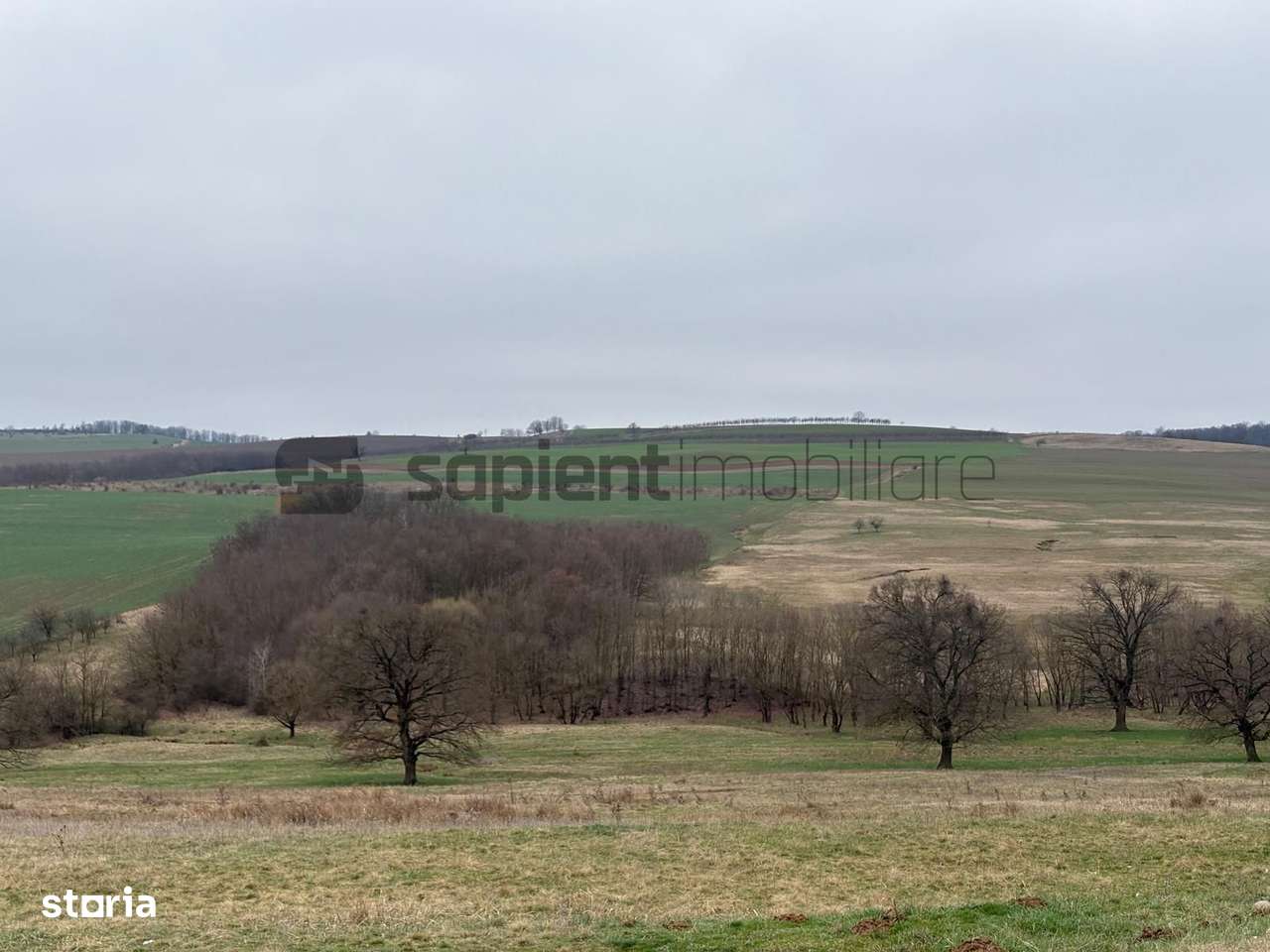 Teren agricol - Imagine principală: 4/6