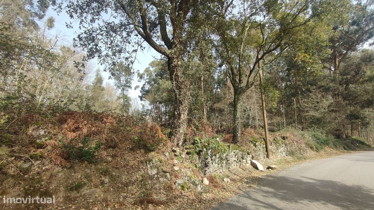 Terreno em Turiz, Vila Verde-4