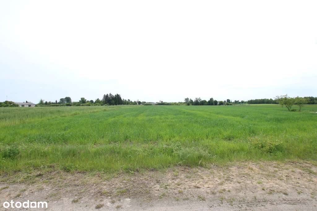 Działka rolno-budowalana Brzostówka g. Serniki 50a - Pełny obrazek: 4/20