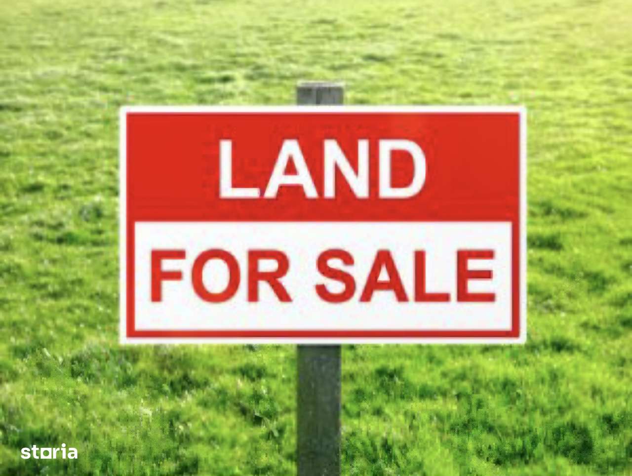 Oportunitate investitie! Teren INTRAVILAN 15.000 mp, Dumbrava Roșie-0