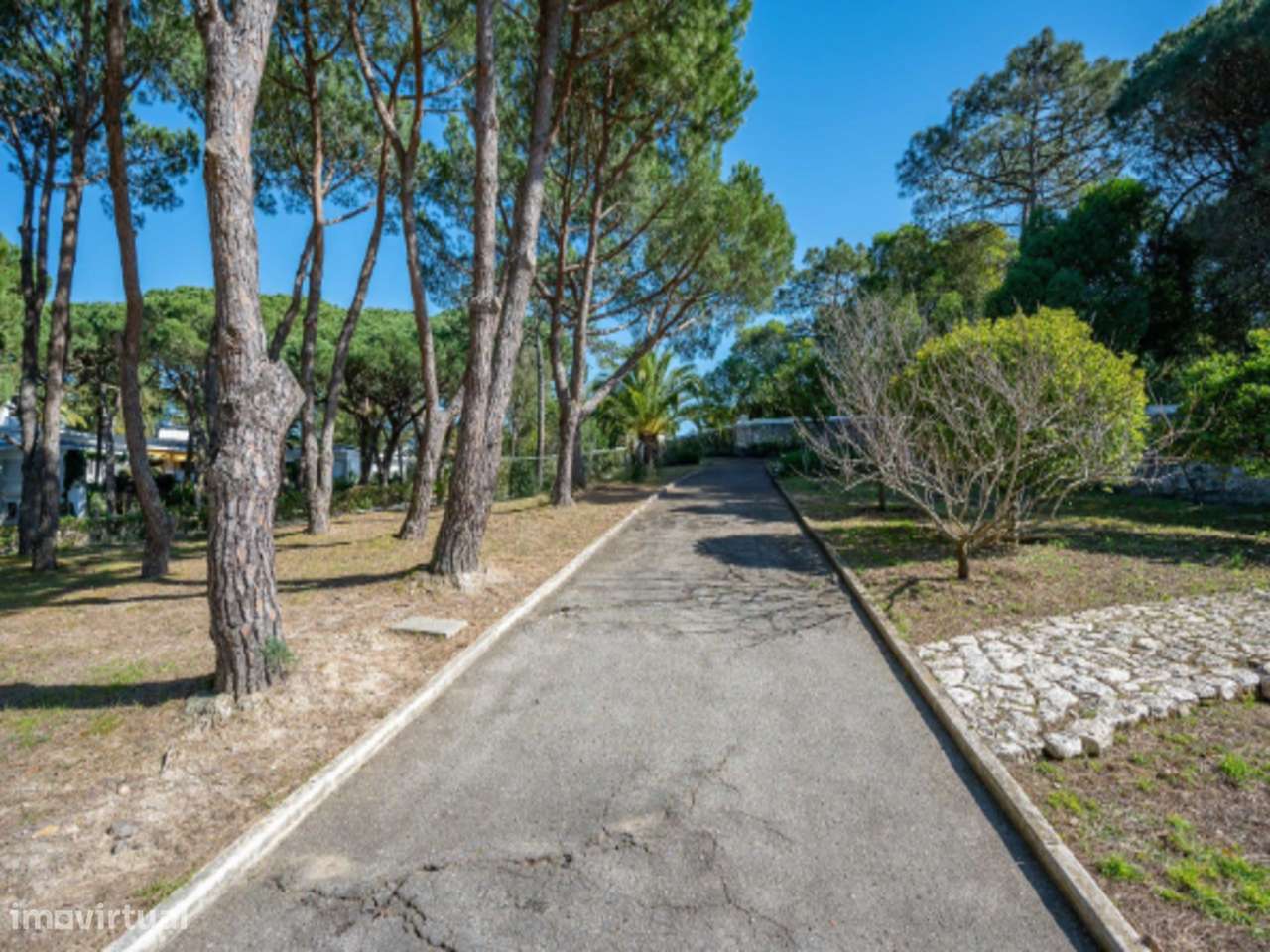 Vila de Luxo com piscina privada e amplo jardim, Cascais-11