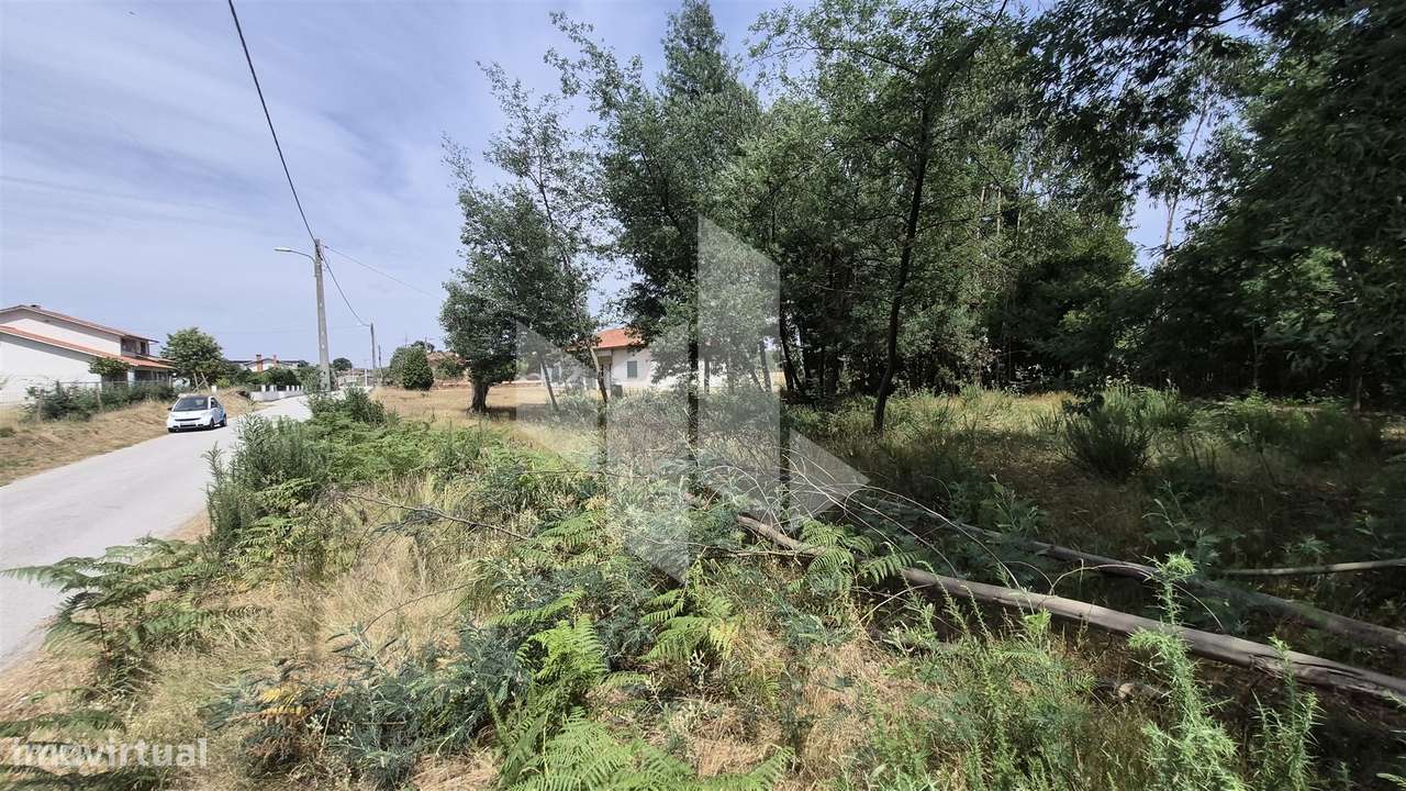 Terreno Para Construção  Venda em Molelos,Tondela-6