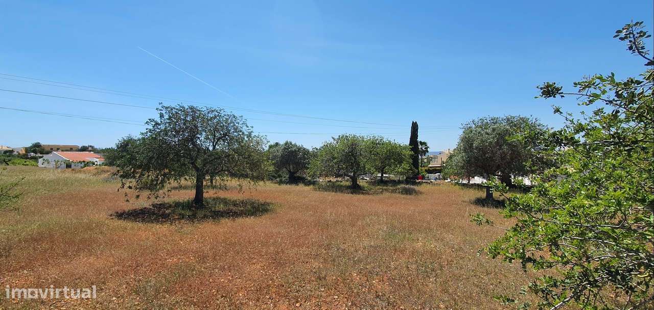 Terreno com vista de mar com área de construção-27