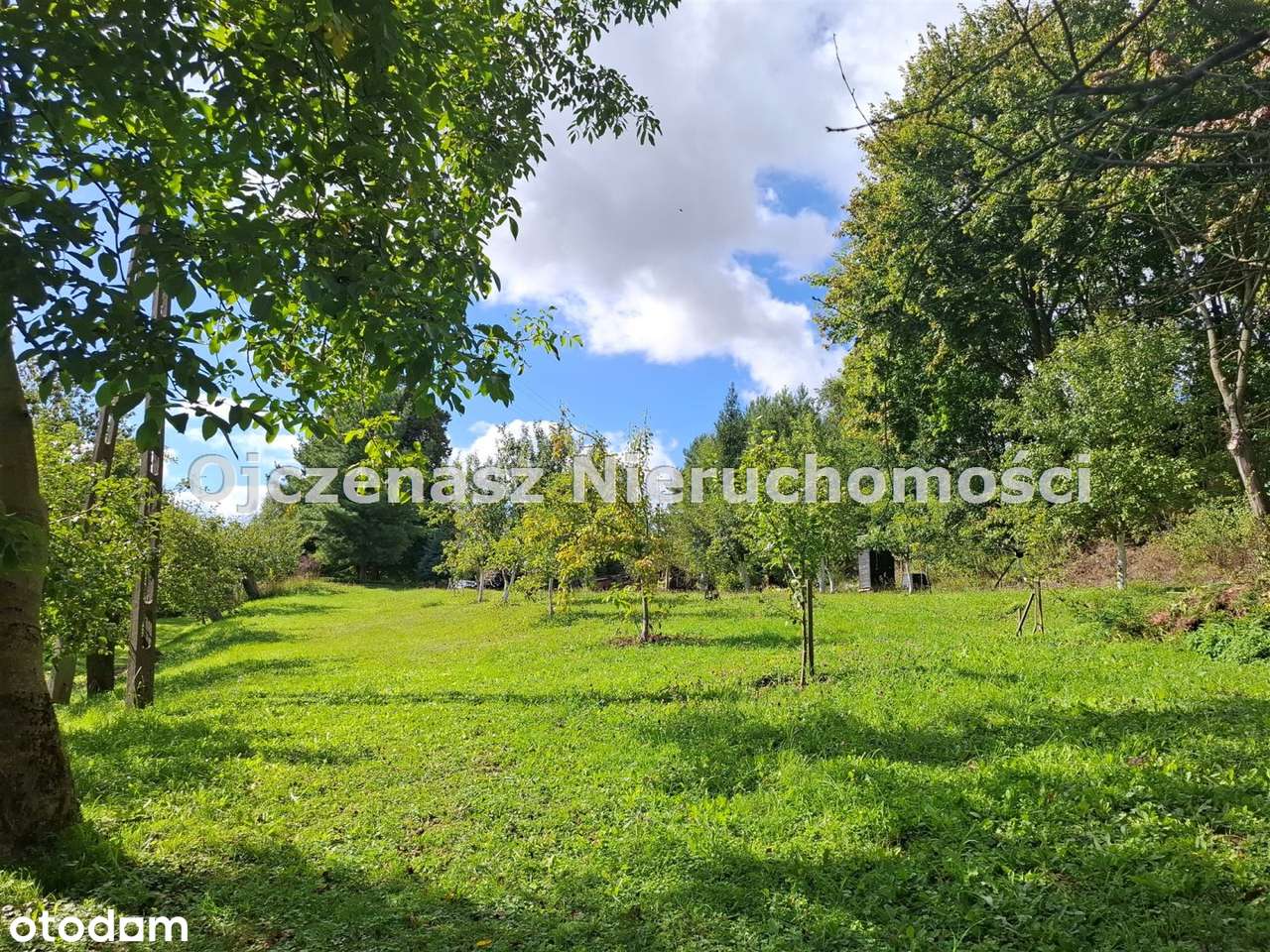 Działka na sprzedaż, Dobrcz - Pełny obrazek: 4/16