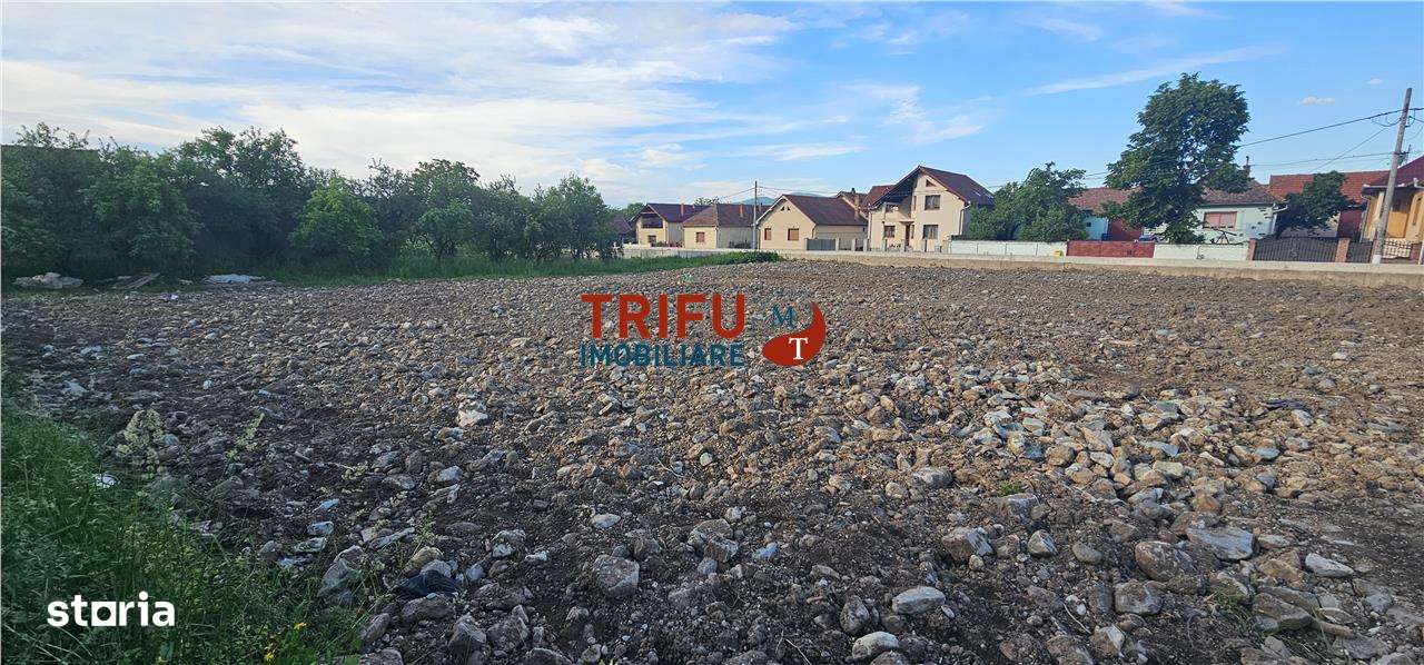 Teren de vanzare in Bucerdea Vinoasa - Imagine principală: 3/5