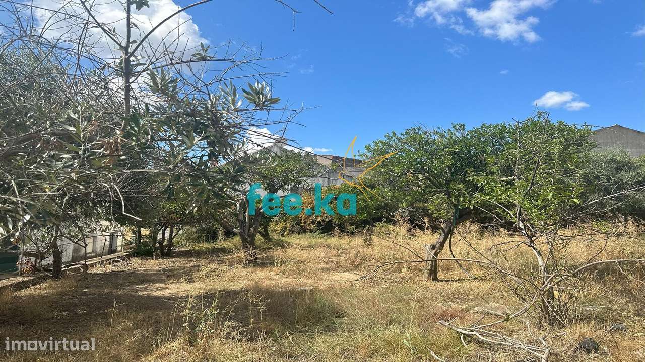 Terreno em Monfortinho - Grande imagem: 5/15