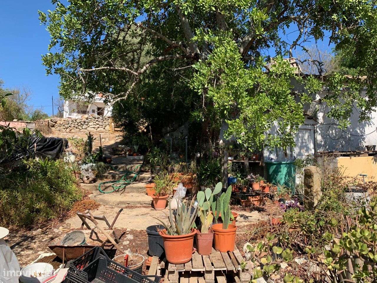 Terreno Urbano, com 3 artigos, Colmeal-41