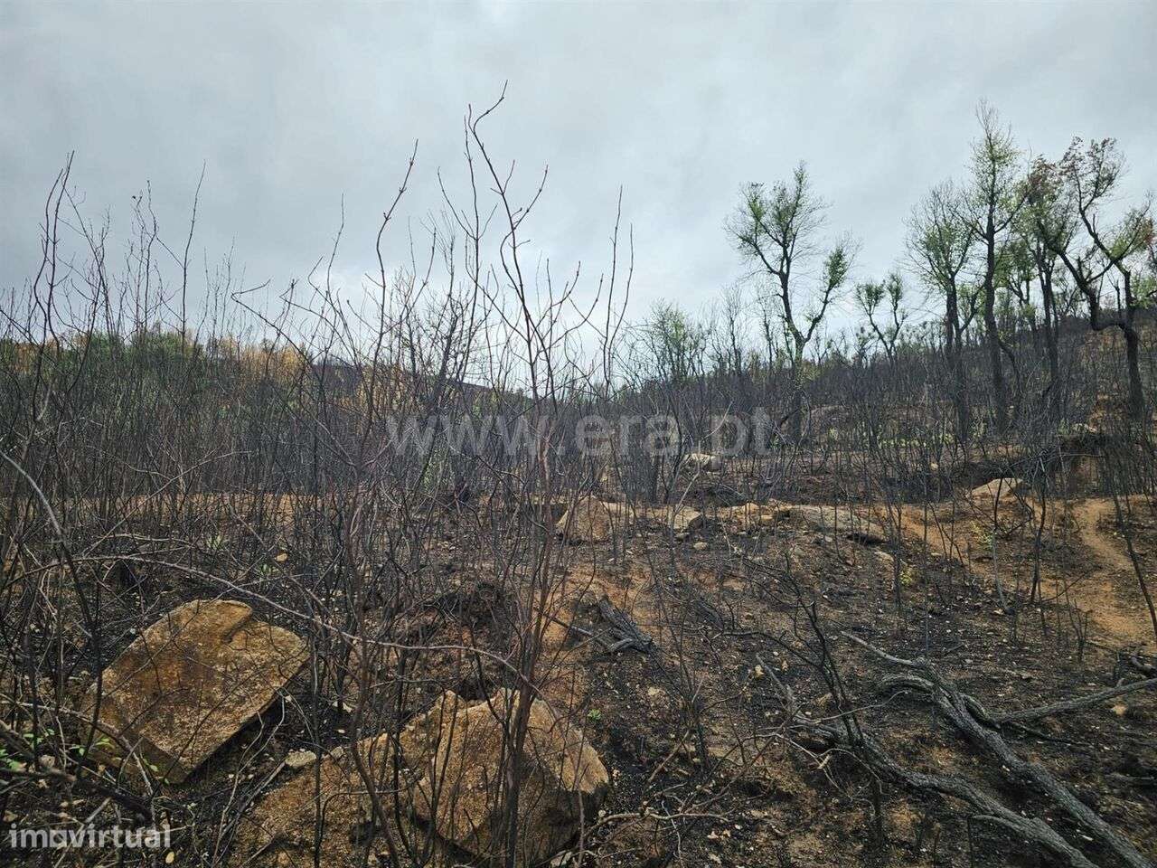 Terreno / Fundão, Telhado - Grande imagem: 4/12