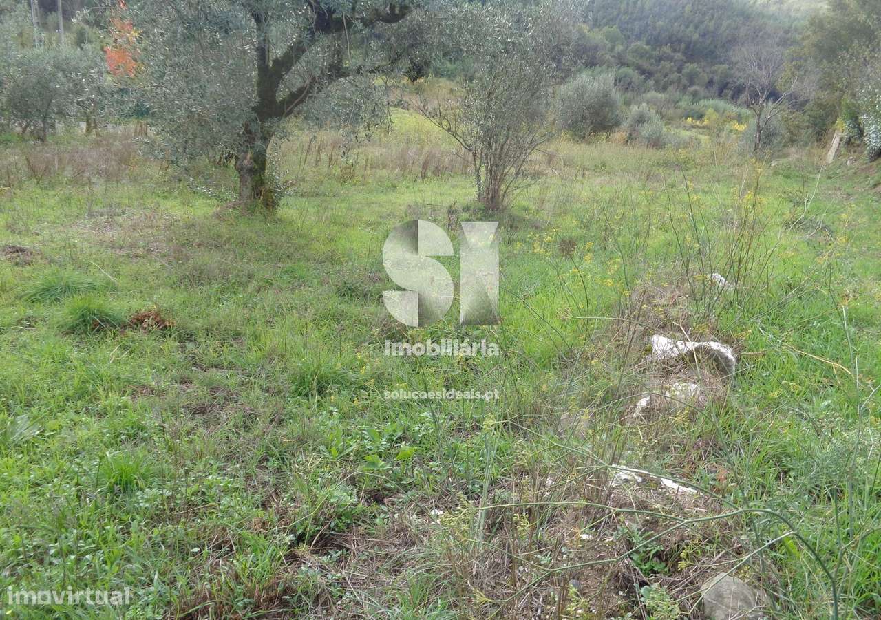 Terreno-Constr. Lousã - Grande imagem: 5/11